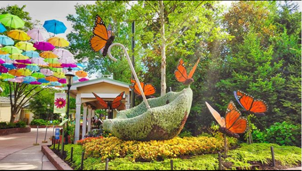 Butterflies at Dollywood