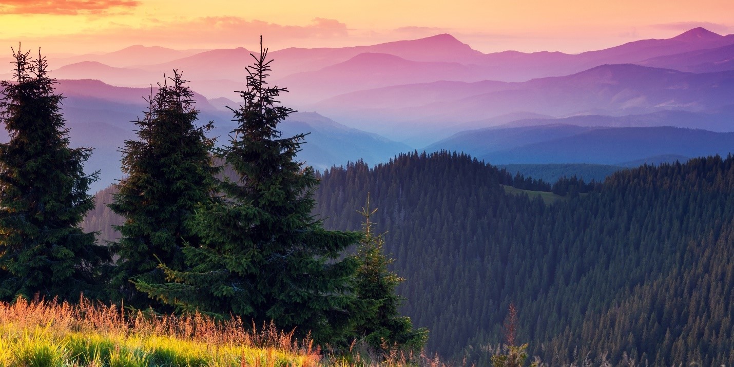 Summer Smoky Mountains