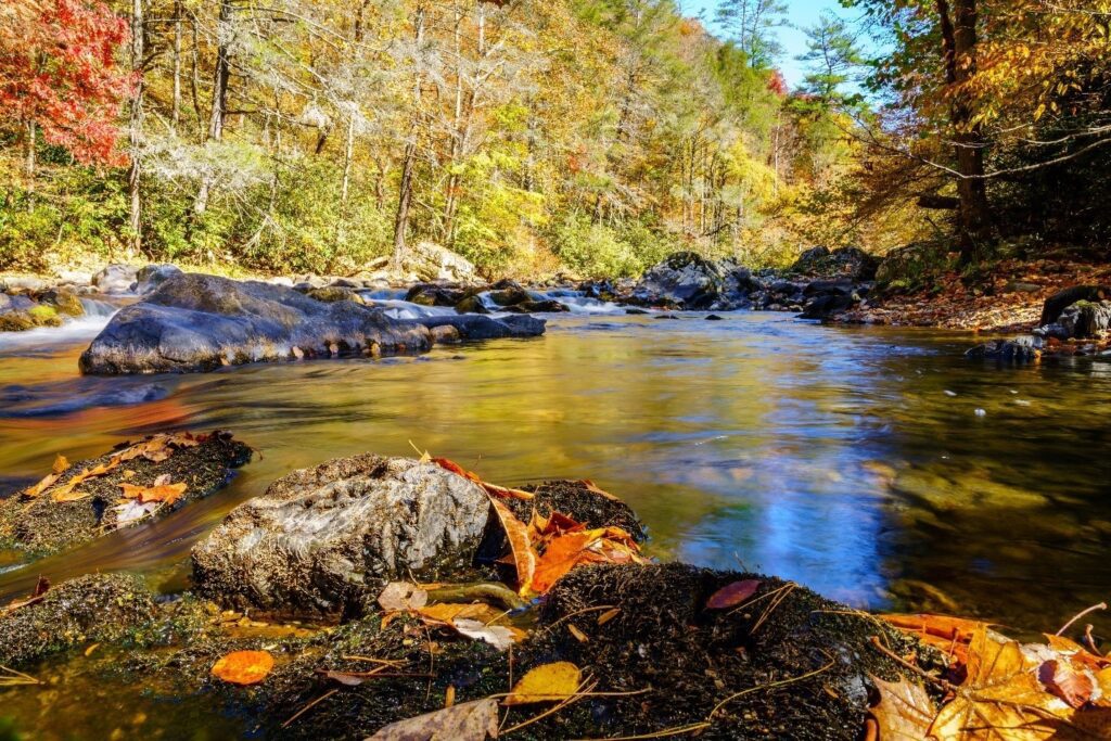 Fall in the Smokies